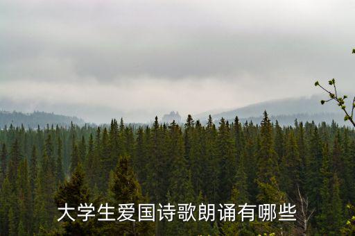 大學生愛國詩歌朗誦有哪些