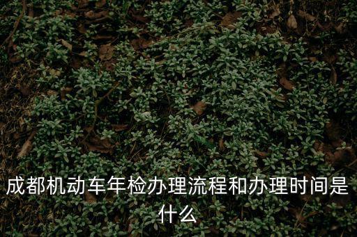 成都機動車年檢辦理流程和辦理時間是什么