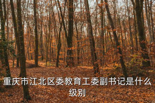 重慶市江北區委教育工委副書記是什么級別