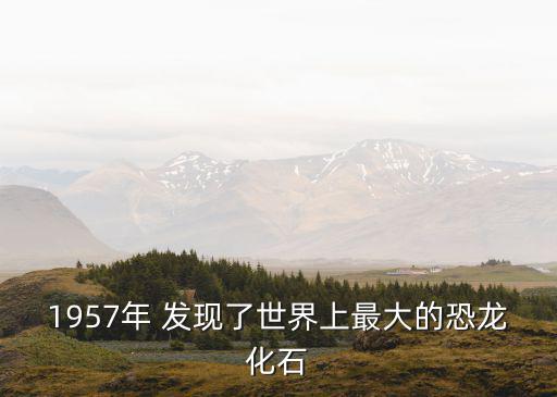 1957年 發現了世界上最大的恐龍化石