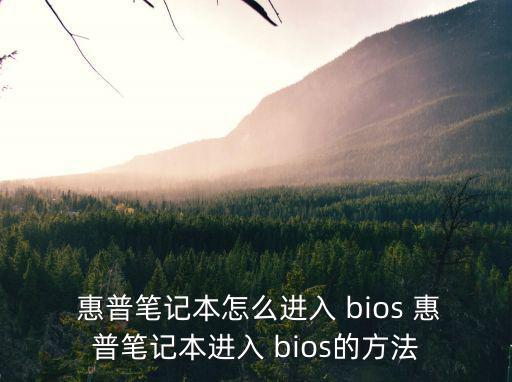  惠普筆記本怎么進入 bios 惠普筆記本進入 bios的方法