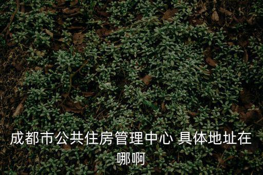 成都市公共住房管理中心 具體地址在哪啊