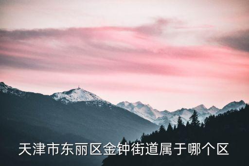 天津市東麗區(qū)金鐘街道屬于哪個區(qū)