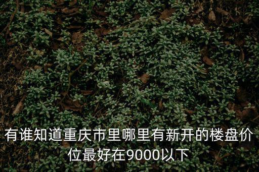 有誰知道重慶市里哪里有新開的樓盤價位最好在9000以下
