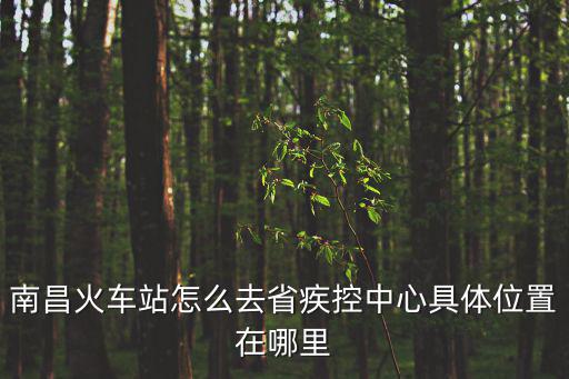 南昌火車站怎么去省疾控中心具體位置在哪里