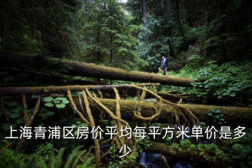 上海青浦區房價平均每平方米單價是多少