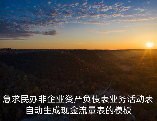 急求民辦非企業資產負債表業務活動表自動生成現金流量表的模板