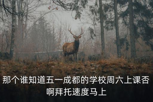 那個誰知道五一成都的學校周六上課否啊拜托速度馬上