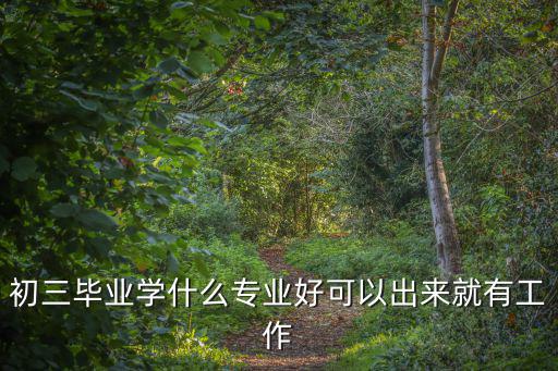 初三畢業(yè)，初三畢業(yè)學(xué)什么專業(yè)好可以出來就有工作
