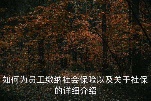 如何為員工繳納社會保險以及關于社保的詳細介紹