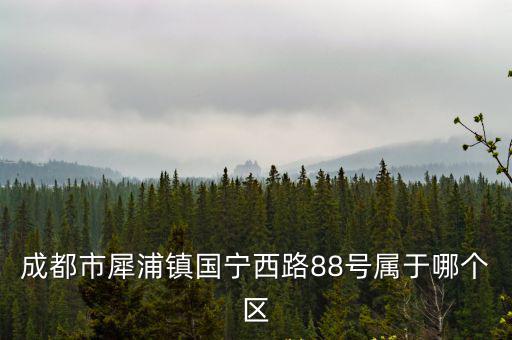 成都市犀浦鎮國寧西路88號屬于哪個區