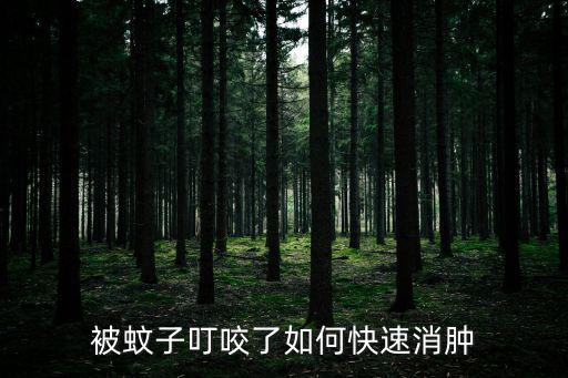 被蚊子叮咬了如何快速消腫