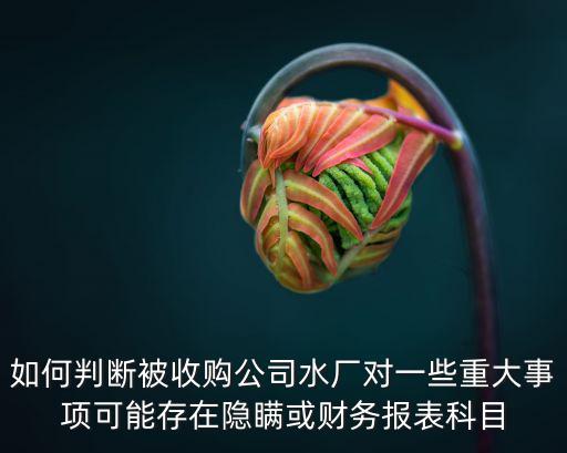 如何判斷被收購公司水廠對一些重大事項可能存在隱瞞或財務報表科目