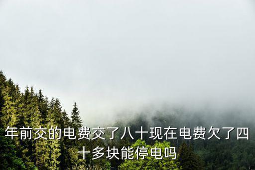 年前交的電費交了八十現在電費欠了四十多塊能停電嗎