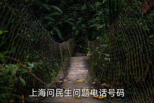接到上海市民熱線電話，今天接到電話02195049這是哪里的