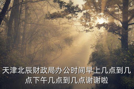 天津市北辰區(qū)政府，天津市北辰區(qū)