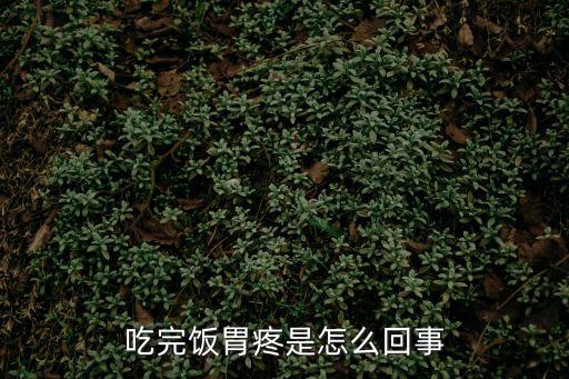 吃完飯后胃疼，我吃完飯就胃疼