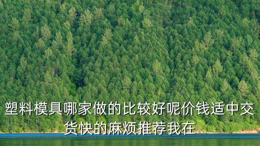 塑料模具哪家做的比較好呢價錢適中交貨快的麻煩推薦我在