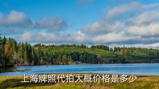 上海牌照代拍大概價格是多少