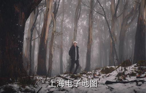 最新上海16區地圖高清版，中國上海地圖