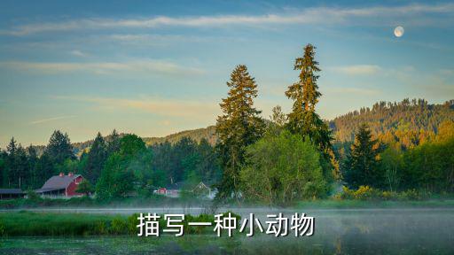 描寫一種小動物