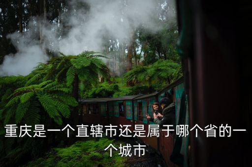 46億年前的重慶市，重慶是一個直轄市還是屬于哪個省的一個城市