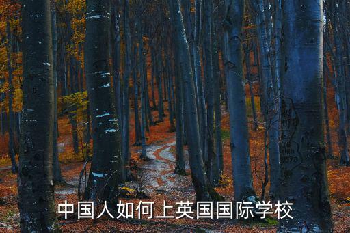 中國人如何上英國國際學校