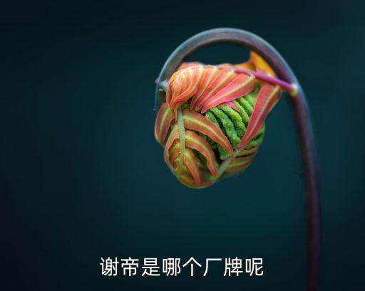蔡鎮鴻，蔡鎮鴻謝帝住哪 求區縣或更準確答案速度