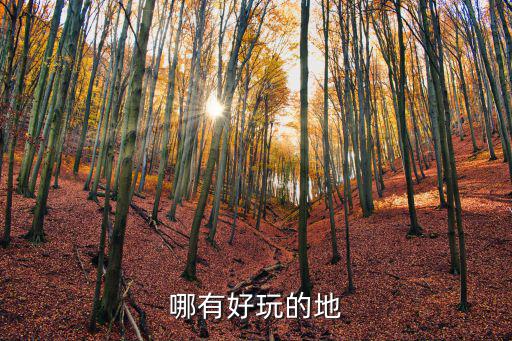 哪有好玩的地