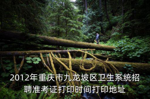 重慶市高級衛生考試 準考證，2012年重慶市九龍坡區衛生系統考試準考證在哪打印打印時間是什么