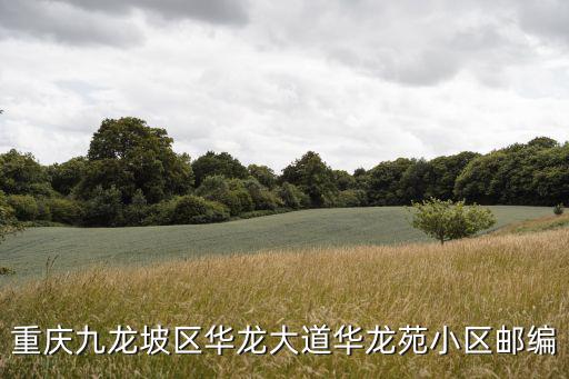 重慶市九龍坡區(qū)華龍大道街道，重慶華龍大道華龍小區(qū)屬于哪個(gè)區(qū)
