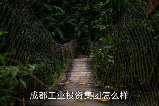 成都工業投資集團怎么樣