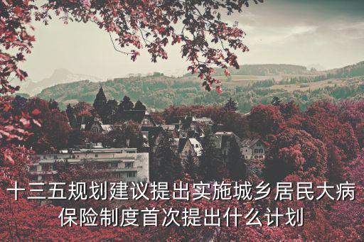 十三五規(guī)劃建議提出實施城鄉(xiāng)居民大病保險制度首次提出什么計劃