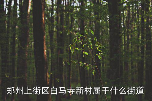 鄭州上街區白馬寺新村屬于什么街道