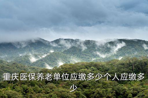 重慶醫(yī)保養(yǎng)老單位應(yīng)繳多少個(gè)人應(yīng)繳多少