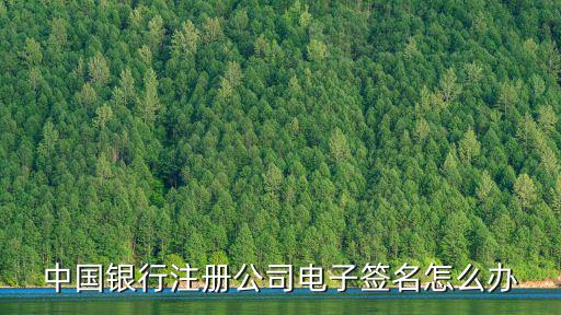 企業登記電子簽名怎么弄，注冊公司網站核名時怎么進行電子簽名