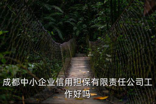 成都中小企業(yè)信用擔(dān)保有限責(zé)任公司工作好嗎