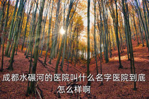 成都水碾河的醫院叫什么名字醫院到底怎么樣啊