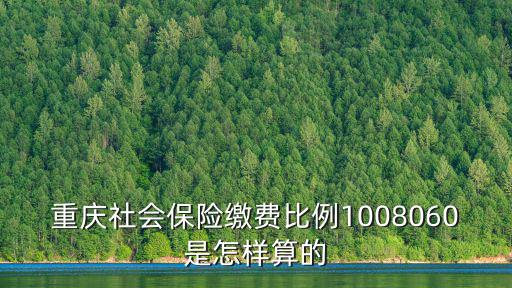 重慶社會保險繳費比例1008060是怎樣算的