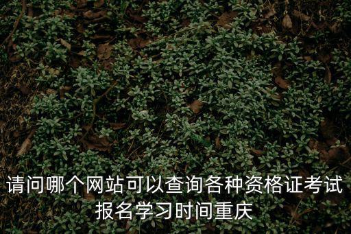 請(qǐng)問哪個(gè)網(wǎng)站可以查詢各種資格證考試報(bào)名學(xué)習(xí)時(shí)間重慶