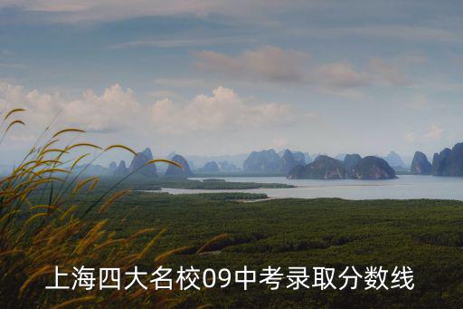 上海四大名校09中考錄取分數線
