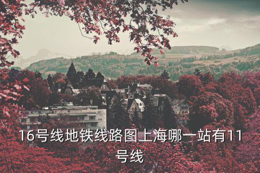 16號線地鐵線路圖上海哪一站有11號線