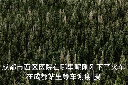 成都市西區醫院能停車嗎，請問四川華西醫院里面能停車嗎