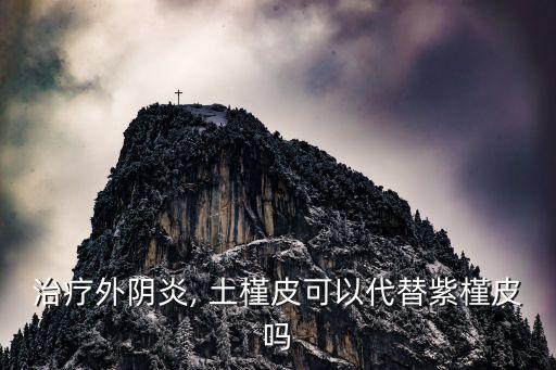 治療外陰炎, 土槿皮可以代替紫槿皮嗎