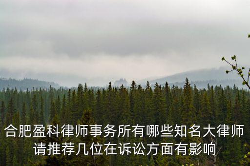 合肥盈科律師事務所有哪些知名大律師請推薦幾位在訴訟方面有影響