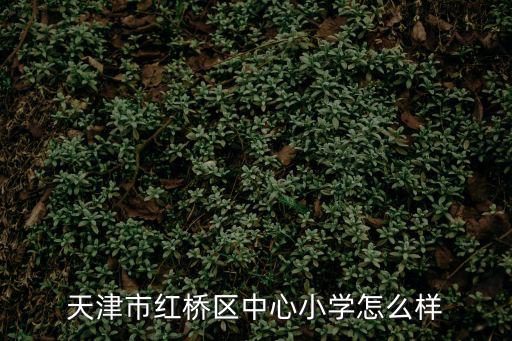 天津市紅橋區(qū)中心小學(xué)怎么樣