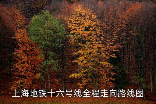 上海地鐵十六號線全程走向路線圖