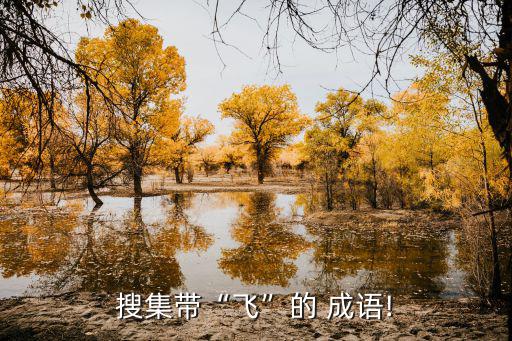 關于飛的成語,第二集:飛蛾撲火的故事