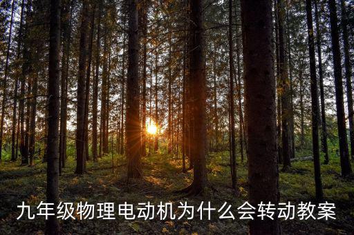 九年級物理電動機為什么會轉動教案