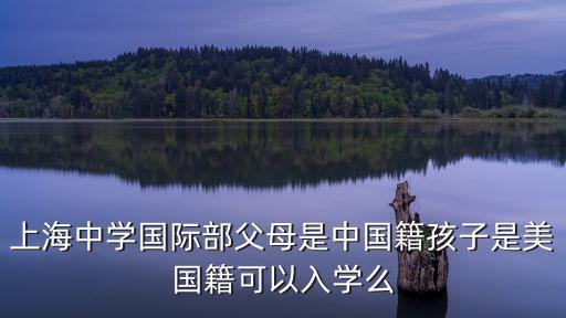上海中學國際部收中國學生嗎，誰在上海中學國際部以前上過的也可以